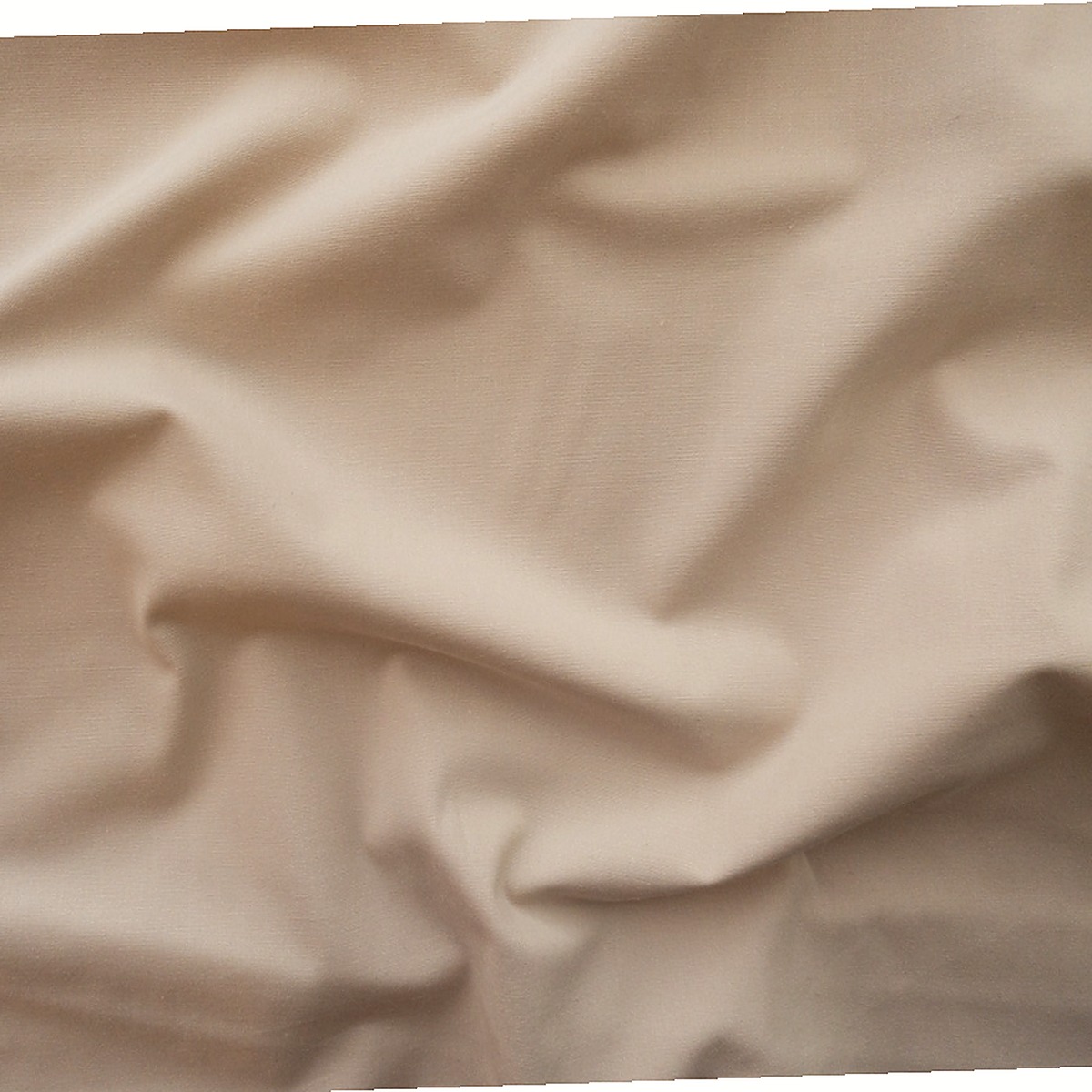 Ivory Sand Shirting