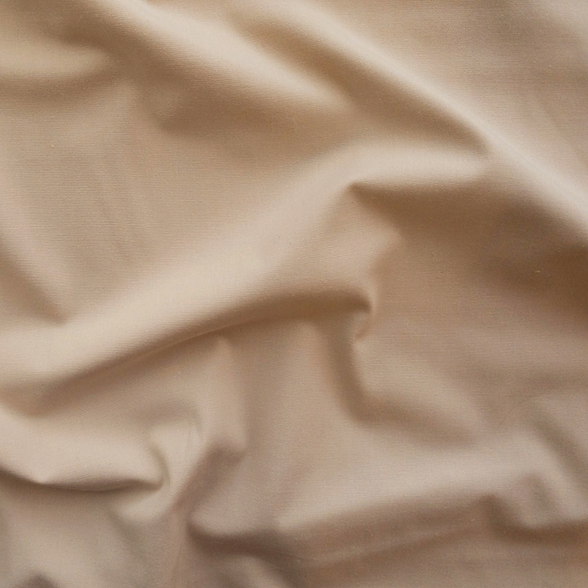 Pale Biscuit Stretch Shirting